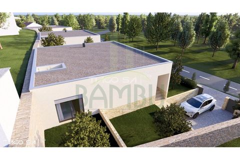 Villa i Venade e Azevedo, Viana do Castelo, Venade e Azevedo - € 375.000 | Ref: B3251 - foto 6