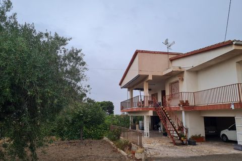 Villa i Elda, Alicante, Elda - € 350.000 | Ref: CF3292 - foto 2