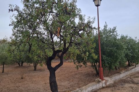 Villa i Elda, Alicante, Elda - € 350.000 | Ref: CF3292 - foto 3