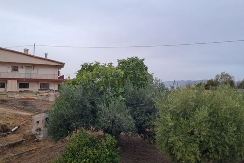 Villa i Elda, Alicante, Elda - € 350.000 | Ref: CF3292 - foto 5