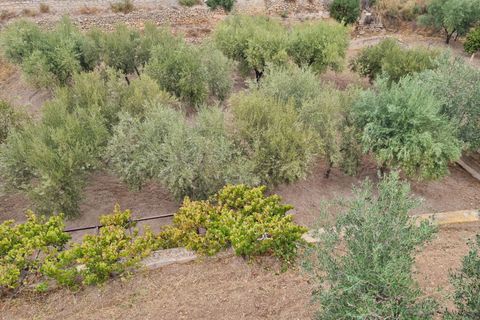 Villa i Elda, Alicante, Elda - € 350.000 | Ref: CF3292 - foto 42