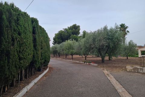 Villa i Elda, Alicante, Elda - € 350.000 | Ref: CF3292 - foto 44