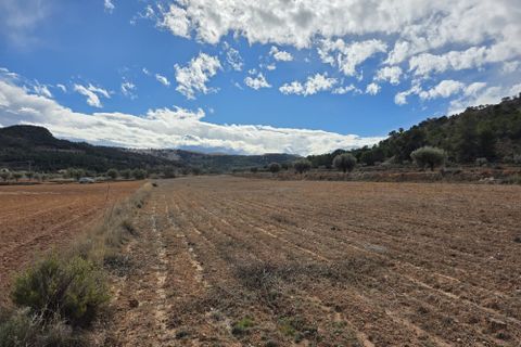 Terra a Encebras, Alicante, Encebras - € 30.000 | Ref: CF3291 - foto 2