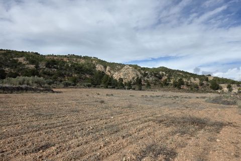 Terra a Encebras, Alicante, Encebras - € 30.000 | Ref: CF3291 - foto 3