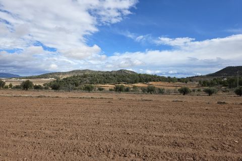 Terra a Encebras, Alicante, Encebras - € 30.000 | Ref: CF3291 - foto 6