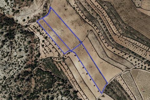 Terra a Encebras, Alicante, Encebras - € 30.000 | Ref: CF3291 - foto 7