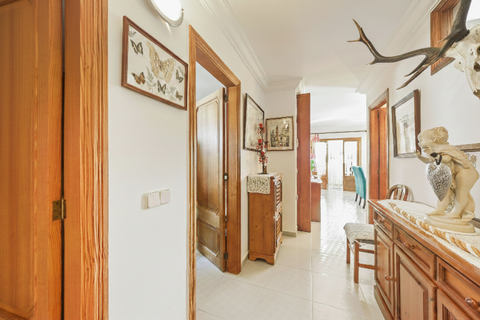 Erhvervsejendom i Son Servera, Mallorca, Son Servera - € 1.090.000 | Ref: FALC-AdFl-81061 - foto 13