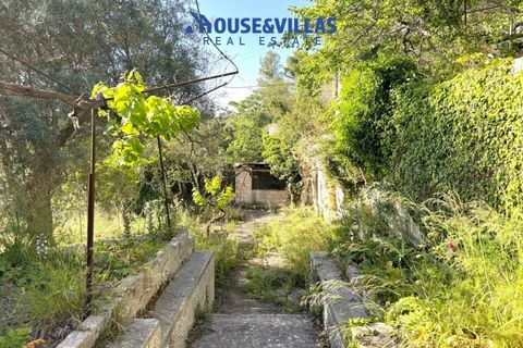 Landejendom i Noto, Siracusa, Noto - € 230.000 | Ref: 998 - foto 21