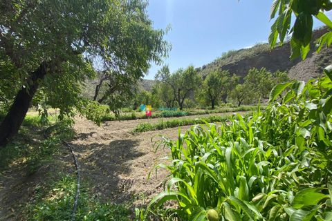 Villa a Lucar, Almeria, Lucar - € 249.000 | Ref: 2366 - foto 36
