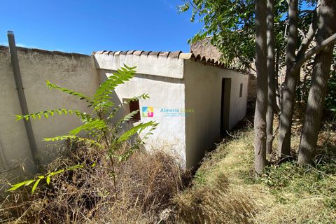 Landejendom i Velez-Rubio, Almeria, Velez-Rubio - € 129.000 | Ref: 2817 - foto 31