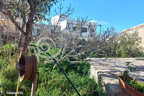 Grond in Tamaimo, Tenerife, Tamaimo - € 190.000 | Ref: 6427 - foto 10