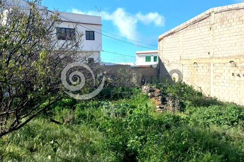 Grond in Tamaimo, Tenerife, Tamaimo - € 190.000 | Ref: 6427 - foto 13