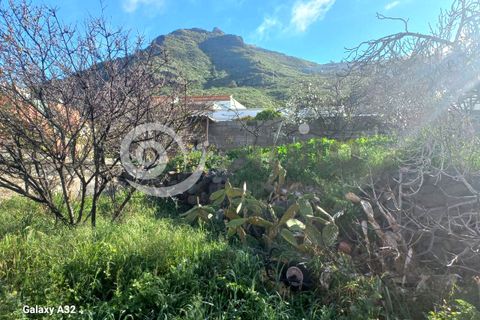 Grond in Tamaimo, Tenerife, Tamaimo - € 190.000 | Ref: 6427 - foto 15