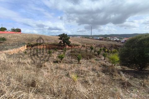 Rækkehus i Silves, Faro, Silves - € 185.000 | Ref: City-26-13C - foto 4
