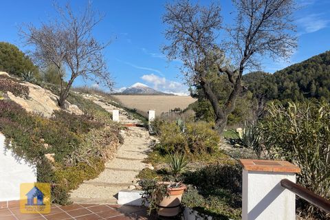 Villa i Huescar, Granada, Huescar - € 275.000 | Ref: cs2225 - foto 15