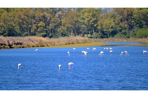 Lejlighed i Almancil, Faro, Almancil - € 950.000 | Ref: G-474_T2 - foto 20