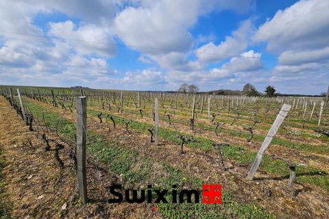 Terra a Ordonnac, Gironde, Ordonnac - € 153.500 | Ref: 231 - foto 2
