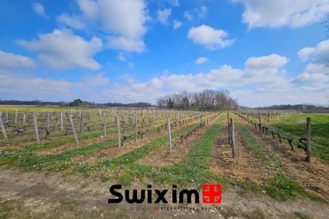 Terra a Ordonnac, Gironde, Ordonnac - € 153.500 | Ref: 231 - foto 3
