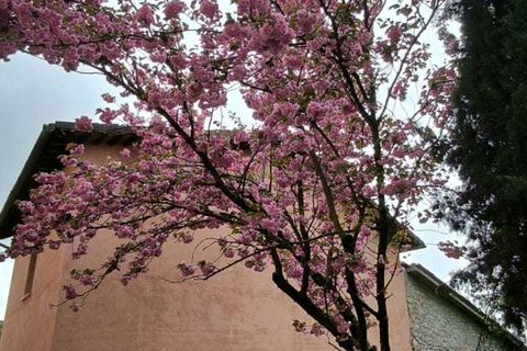 Byhus i Visso, Macerata, Visso - € 25.000 | Ref: 1597 - foto 27