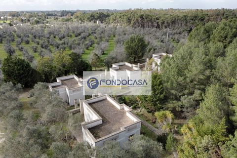 Villa a Palmariggi, Lecce, Palmariggi - € 230.000 | Ref: 54 - foto 3