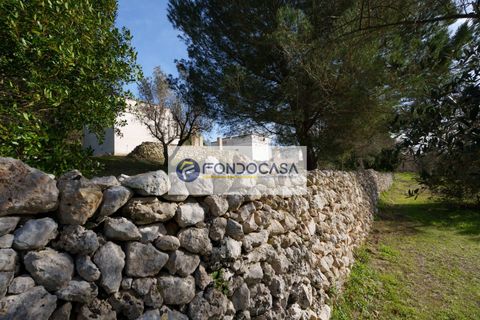 Villa a Palmariggi, Lecce, Palmariggi - € 230.000 | Ref: 54 - foto 24