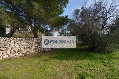 Villa a Palmariggi, Lecce, Palmariggi - € 230.000 | Ref: 54 - foto 25