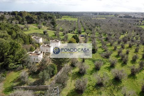 Villa a Palmariggi, Lecce, Palmariggi - € 230.000 | Ref: 54 - foto 27