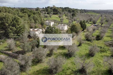 Villa a Palmariggi, Lecce, Palmariggi - € 230.000 | Ref: 54 - foto 28