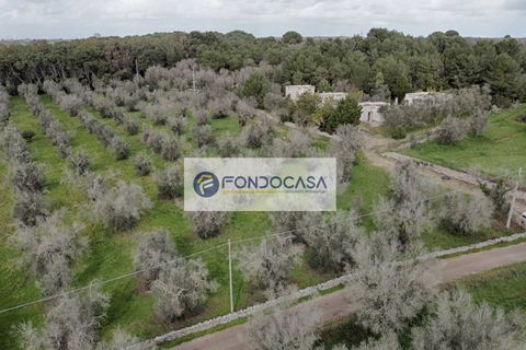 Villa a Palmariggi, Lecce, Palmariggi - € 230.000 | Ref: 54 - foto 29