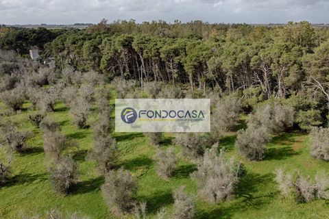 Villa a Palmariggi, Lecce, Palmariggi - € 230.000 | Ref: 54 - foto 31