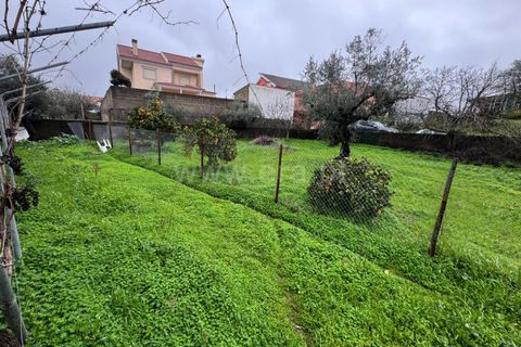 Villa i Castelo Branco, Castelo Branco, Castelo Branco - € 450.000 | Ref: 102260029 - foto 20
