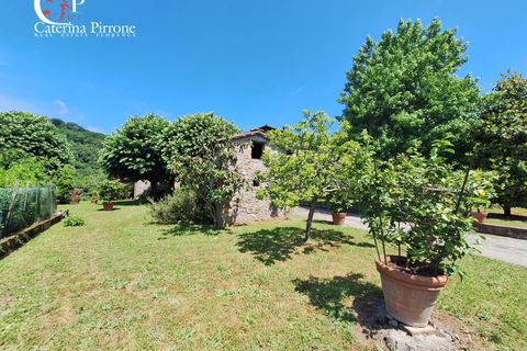 Villa i Pescaglia, Lucca, Pescaglia - € 880.000 | Ref: CPVILL104 - foto 15