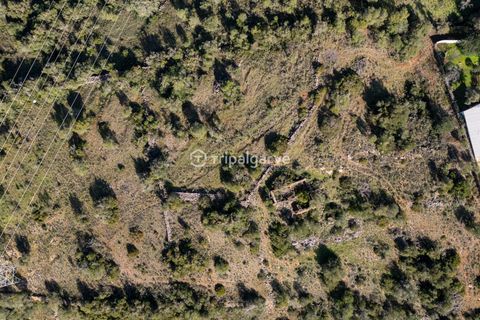 Helårsgrund i Silves, Faro, Silves - € 350.000 | Ref: TACM2640 - foto 2