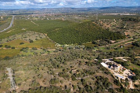 Helårsgrund i Silves, Faro, Silves - € 350.000 | Ref: TACM2640 - foto 3