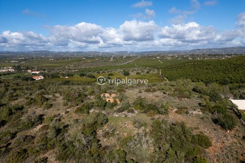Helårsgrund i Silves, Faro, Silves - € 350.000 | Ref: TACM2640 - foto 5