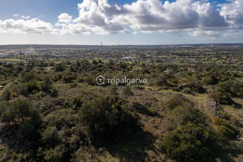 Helårsgrund i Silves, Faro, Silves - € 350.000 | Ref: TACM2640 - foto 9