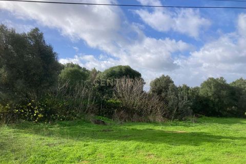 Helårsgrund i Alvor, Faro, Alvor - € 1.100.000 | Ref: C0222-06802 - foto 8