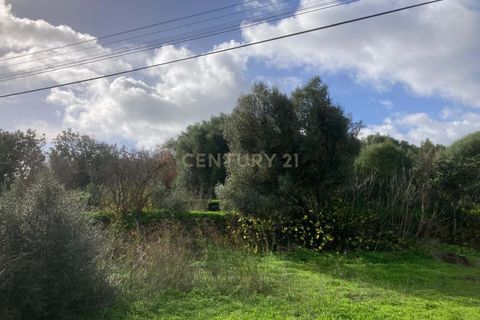 Helårsgrund i Alvor, Faro, Alvor - € 1.100.000 | Ref: C0222-06802 - foto 9