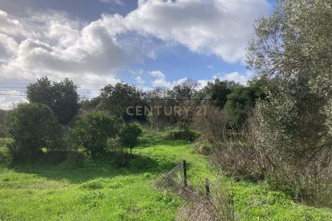 Helårsgrund i Alvor, Faro, Alvor - € 1.100.000 | Ref: C0222-06802 - foto 10