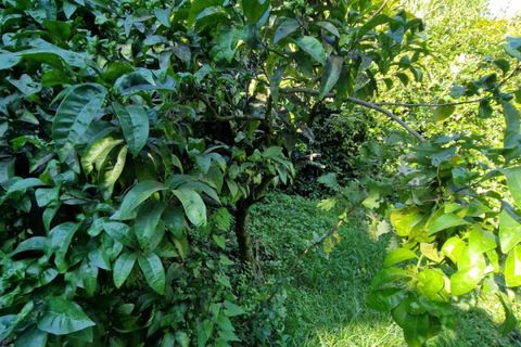Villa i Rapallo, Genoa, Rapallo - € 1.400.000 | Ref: A1316 - foto 50