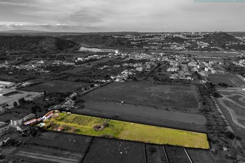 Farm hus i Abrantes, Santarem, Abrantes - € 498.000 | Ref: L2025323 - foto 23
