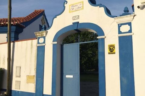 Farm hus i Abrantes, Santarem, Abrantes - € 498.000 | Ref: L2025323 - foto 28