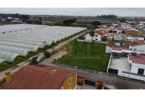 Helårsgrund i Alpiarca, Santarem, Alpiarca - € 85.000 | Ref: 100.001.851 - foto 3
