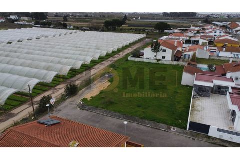 Helårsgrund i Alpiarca, Santarem, Alpiarca - € 85.000 | Ref: 100.001.851 - foto 4