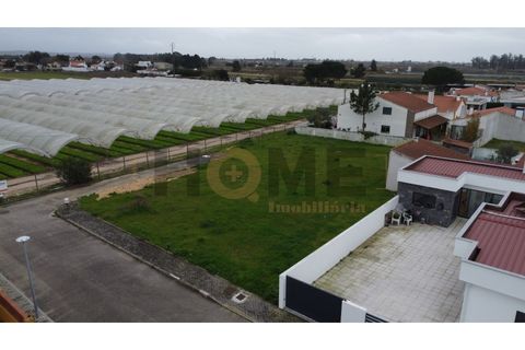 Helårsgrund i Alpiarca, Santarem, Alpiarca - € 85.000 | Ref: 100.001.851 - foto 5