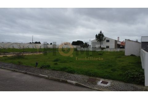 Helårsgrund i Alpiarca, Santarem, Alpiarca - € 85.000 | Ref: 100.001.851 - foto 8