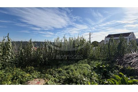 Terra a Camarate, Lisbon, Camarate - € 40.000 | Ref: PT2026-2075 - foto 2