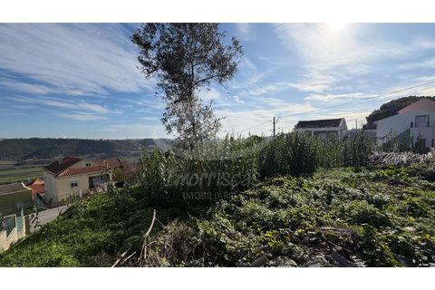 Terra a Camarate, Lisbon, Camarate - € 40.000 | Ref: PT2026-2075 - foto 3