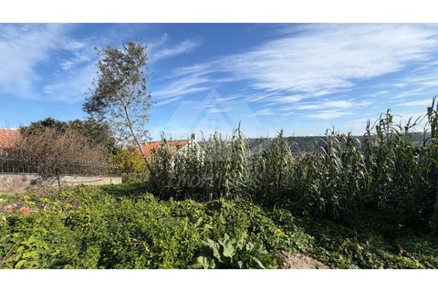Terra a Camarate, Lisbon, Camarate - € 40.000 | Ref: PT2026-2075 - foto 4