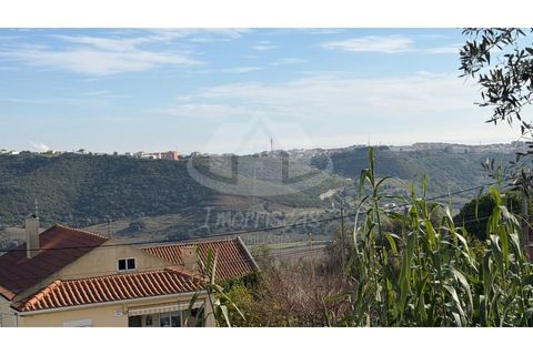 Terra a Camarate, Lisbon, Camarate - € 40.000 | Ref: PT2026-2075 - foto 6
